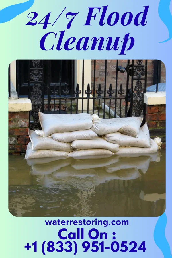 24/7 Flood Cleanup in Cove Creek, NC