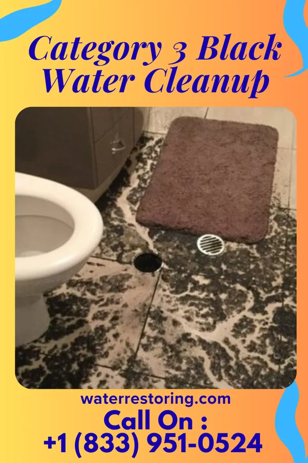 Category 3 Black Water Cleanup in Cove Creek, NC