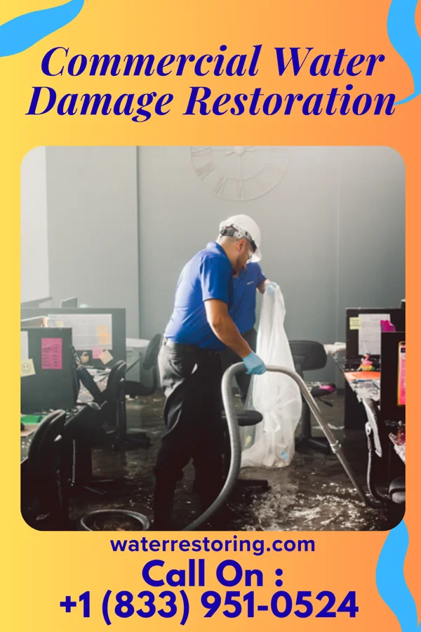 Commercial Water Damage Restoration in Cove Creek, NC